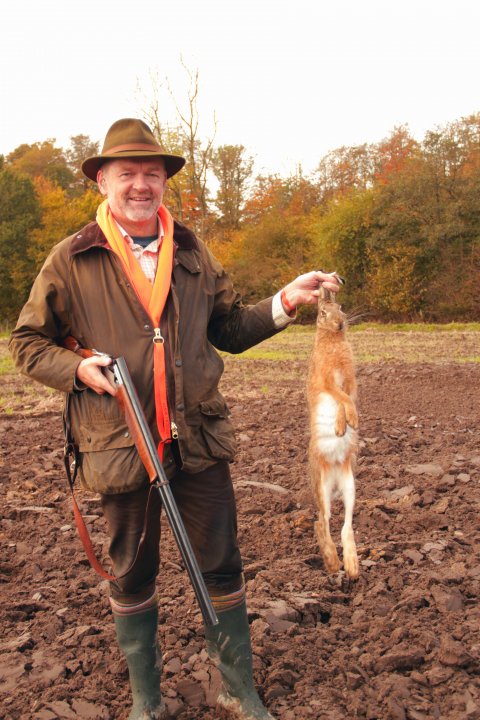 2017 - Anders frste hare